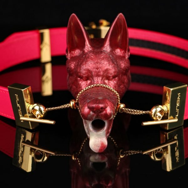 Fuchs-Mundknebel Oral Plug – Wilde, Verführerische Bondage-Sexspielzeuge für BDSM – Bild 2