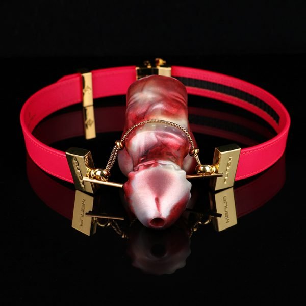 Silikon Dildo Ball Gags Oral Plug – Sexspielzeuge für Frauen mit Bondage-Set – Bild 2