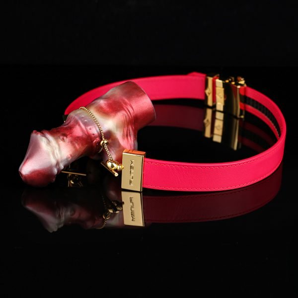 Silikon Dildo Ball Gags Oral Plug – Sexspielzeuge für Frauen mit Bondage-Set – Bild 3