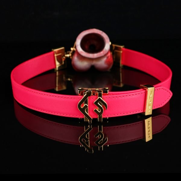 Silikon Dildo Ball Gags Oral Plug – Sexspielzeuge für Frauen mit Bondage-Set – Bild 4