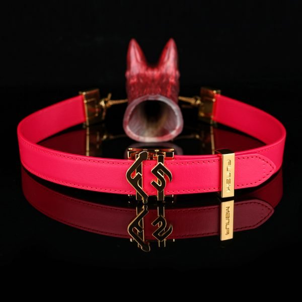 Fuchs-Mundknebel Oral Plug – Wilde, Verführerische Bondage-Sexspielzeuge für BDSM – Bild 4