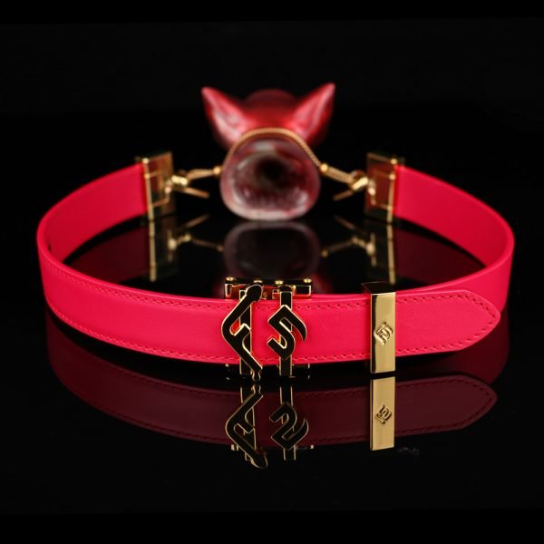 Fuchs-Bondage-Mundknebel – Blutroter Silikon-Knebel für BDSM und weibliche Lustspiele – Bild 5