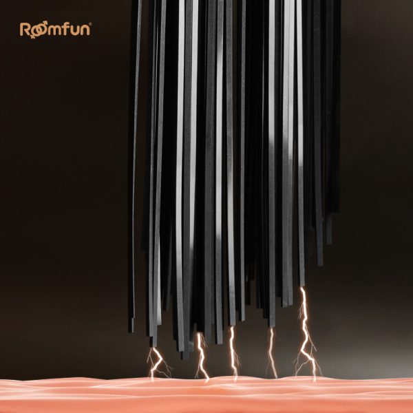 Elektrischer Peitsche BDSM Sexuell – Extreme Fesseln Leder Kinky Sex Spielzeuge für Frauen – Bild 6