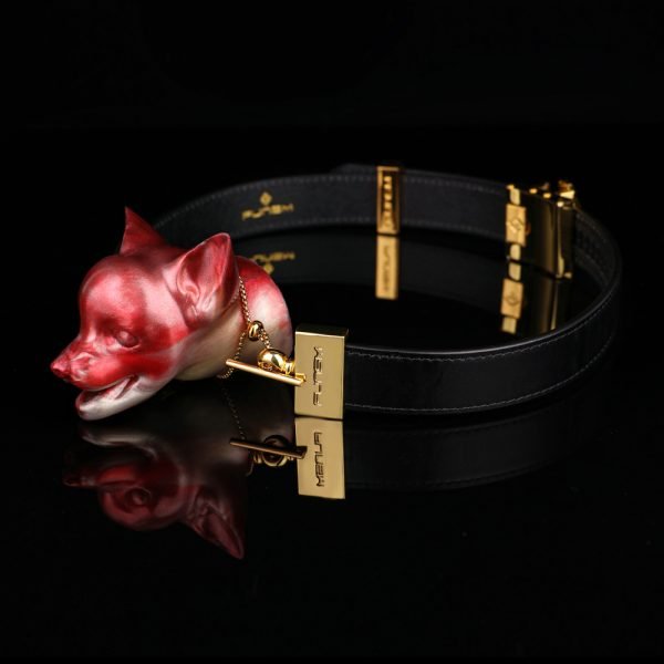 Fuchs-Bondage-Mundknebel – Blutroter Silikon-Knebel für BDSM und weibliche Lustspiele – Bild 6