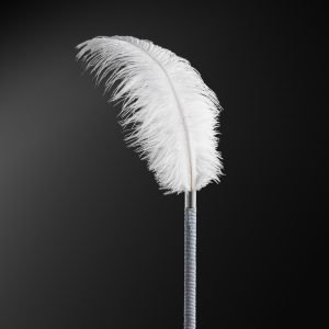 Feder-Paddel Kink BDSM Spielzeuge – Bondage Tease Pre-Sex Spiele