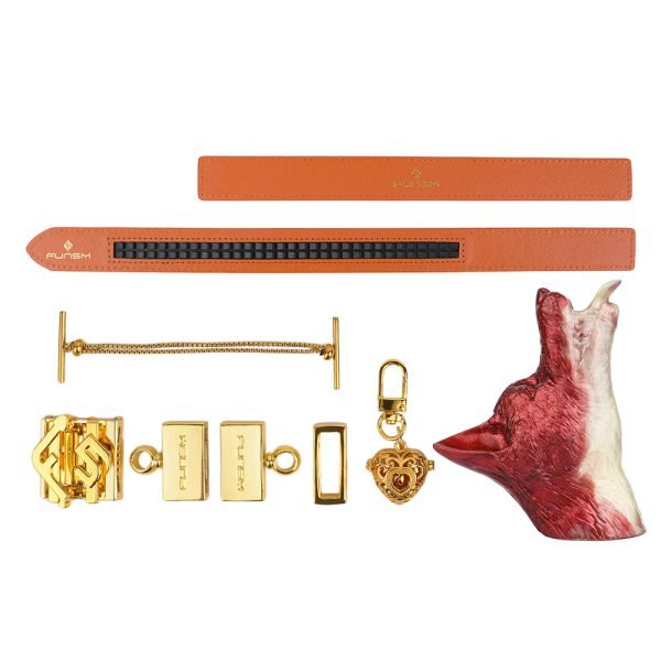 Fuchs-Mundknebel Oral Plug – Wilde, Verführerische Bondage-Sexspielzeuge für BDSM – Bild 7