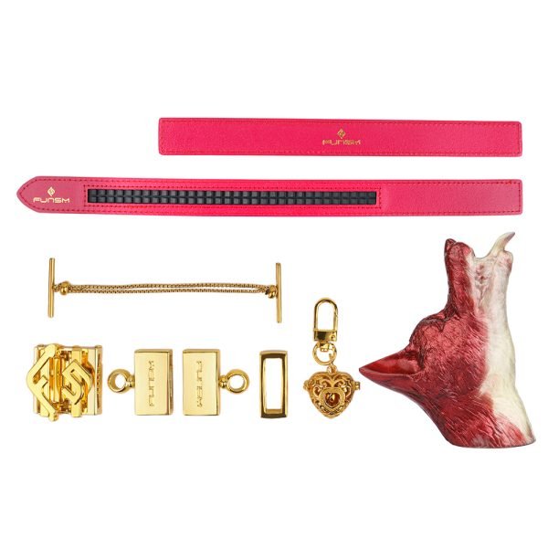 Fuchs-Mundknebel Oral Plug – Wilde, Verführerische Bondage-Sexspielzeuge für BDSM – Bild 8