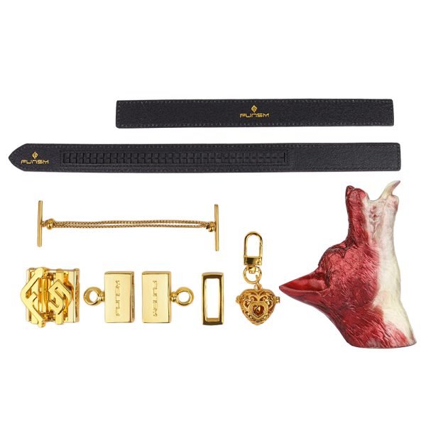 Fuchs-Mundknebel Oral Plug – Wilde, Verführerische Bondage-Sexspielzeuge für BDSM – Bild 9