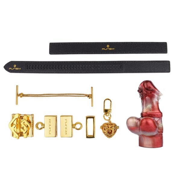 Silikon Dildo Ball Gags Oral Plug – Sexspielzeuge für Frauen mit Bondage-Set – Bild 9