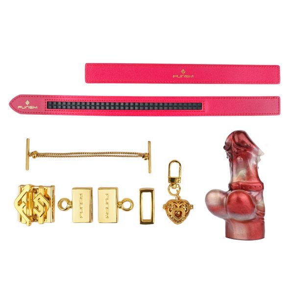 Silikon Dildo Ball Gags Oral Plug – Sexspielzeuge für Frauen mit Bondage-Set – Bild 11