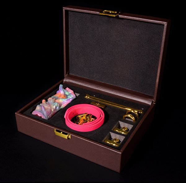 Vertikaler Silikon-Ballgag Bondage-Kit – Extrem-Fesselung & Kinky BDSM-Spielzeug – Bild 12