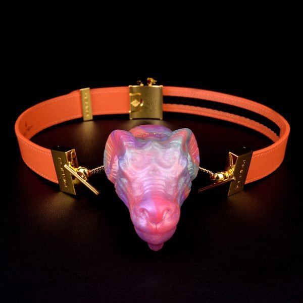 Strap-On Horizontal Ballgag BDSM-Kit – Paarspielzeug für extreme Fesselspiele – Bild 5