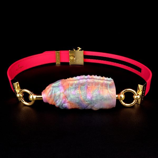 Fischförmiger Horizontaler Ballgag – Neonfarbener Silikon-Knebel für Bondage-Sessions – Bild 2