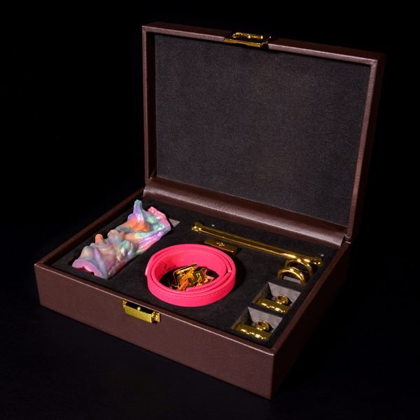 Vertikaler Silikon-Ballgag Bondage-Kit – Extrem-Fesselung & Kinky BDSM-Spielzeug – Bild 11