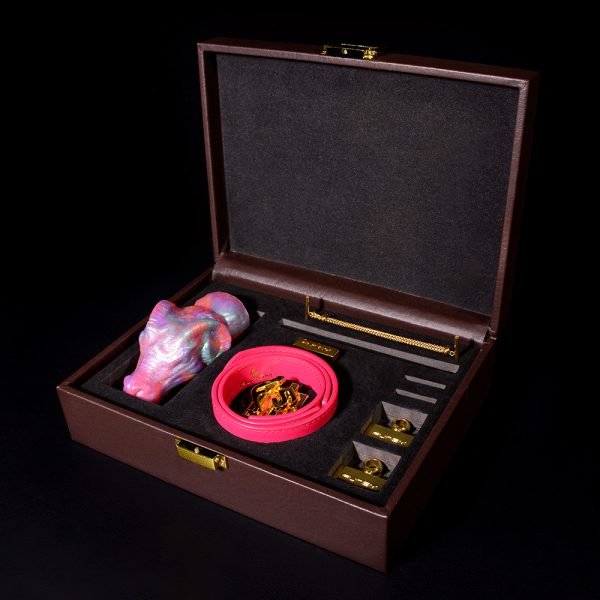 Strap-On Horizontal Ballgag BDSM-Kit – Paarspielzeug für extreme Fesselspiele – Bild 13