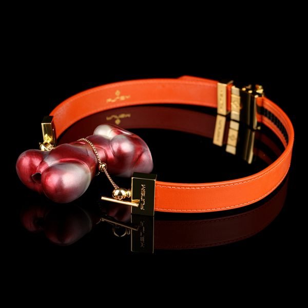 Vertikaler Fantasy-Knebel – Extremes Fesselungs-Silikon-BDSM-Kit für Frauen