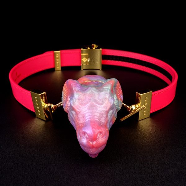 Strap-On Horizontal Ballgag BDSM-Kit – Paarspielzeug für extreme Fesselspiele – Bild 7