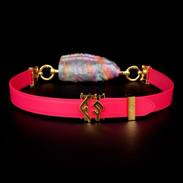 Fischförmiger Horizontaler Ballgag – Neonfarbener Silikon-Knebel für Bondage-Sessions – Bild 3