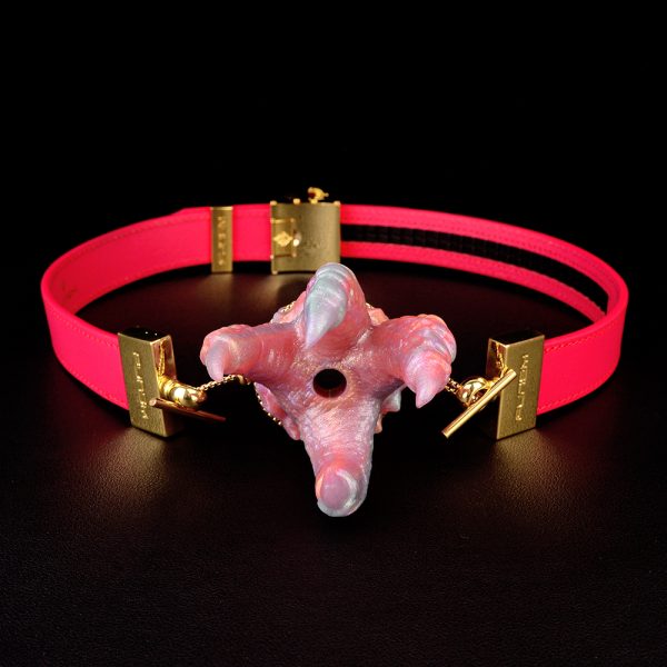 Claw-Fantasy-Mundknebel – Entfessle das Alien-Domination-Ritual des BDSM – Bild 6