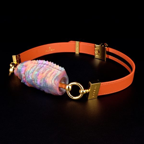 Fischförmiger Horizontaler Ballgag – Neonfarbener Silikon-Knebel für Bondage-Sessions – Bild 4