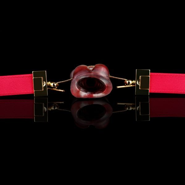 Vertikaler Fantasy-Knebel – Extremes Fesselungs-Silikon-BDSM-Kit für Frauen – Bild 9