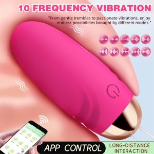 Tragbarer Bullet Vibrator – Fernsteuerbare Insertionslust für geheime Momente