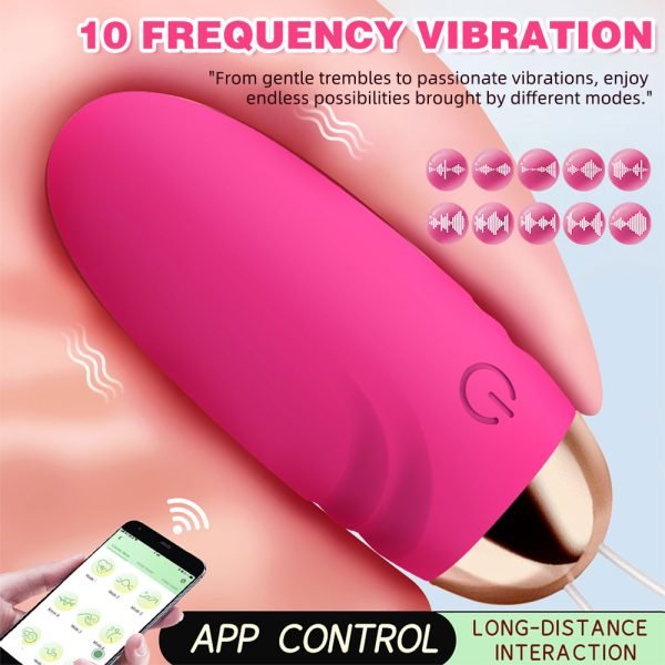 Tragbarer Bullet Vibrator – Fernsteuerbare Insertionslust für geheime Momente